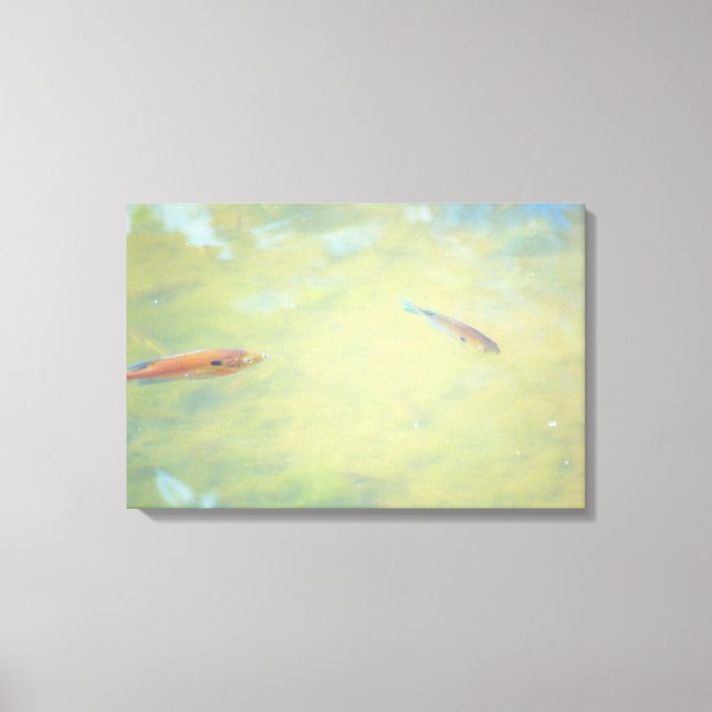Schwimmen in der Sonne Leinwanddruck (Vorderseite)
