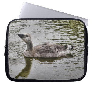 Schwimmen Kanada Gosling Wildlife Art Scene Laptopschutzhülle