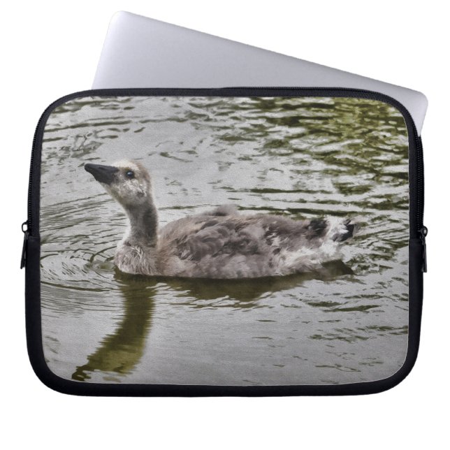 Schwimmen Kanada Gosling Wildlife Art Scene Laptopschutzhülle (Vorderseite)