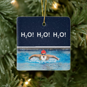 Schwimmen Keramikornament