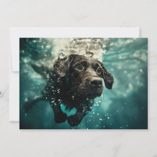 Schwimmen Labrador Puppy Underwater Design Karte