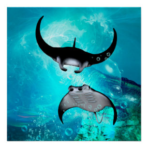 Schwimmen-Mantarochen Poster