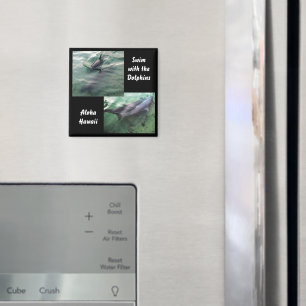 Schwimmen mit Delphinen Hawaii Magnet