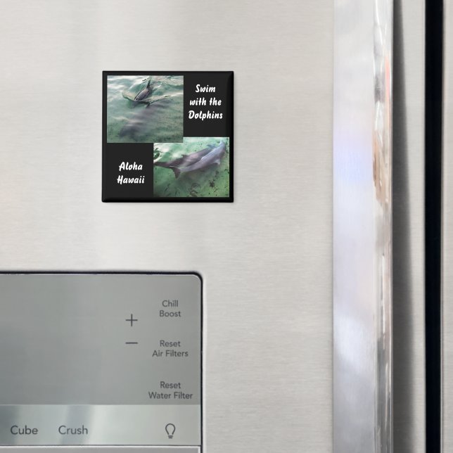 Schwimmen mit Delphinen Hawaii Magnet (In Situ (Kühlschrank))