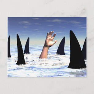 Schwimmen mit Haien Postkarte
