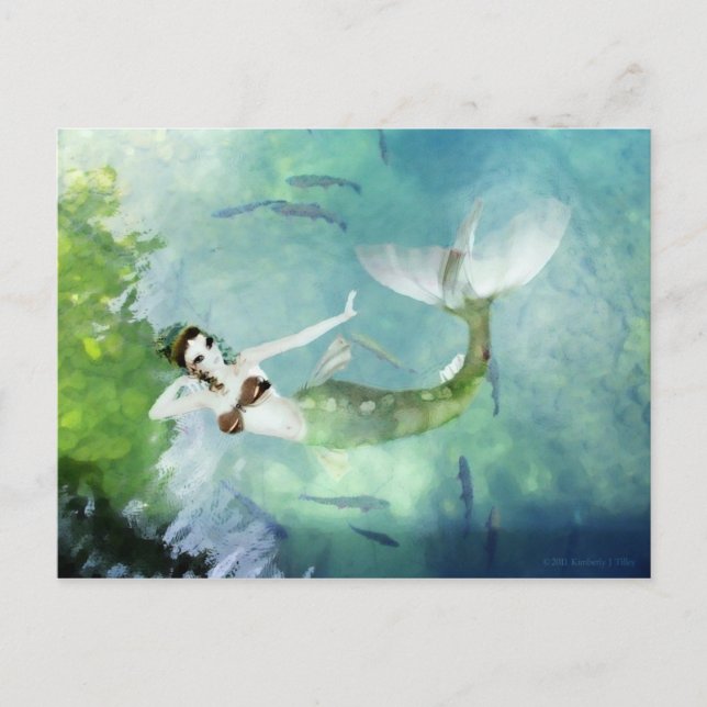 Schwimmen mit Lachs Postkarte (Vorderseite)