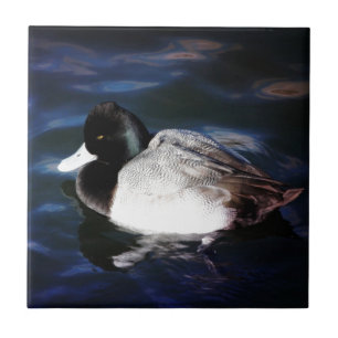 Schwimmen mit Sonnenschein Fliese