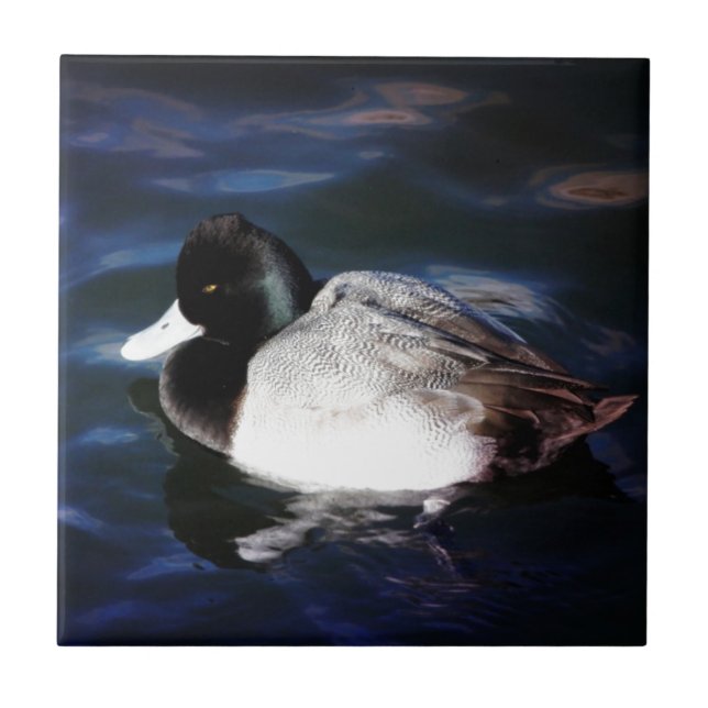 Schwimmen mit Sonnenschein Fliese (Vorderseite)