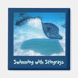 Schwimmen mit Strahlen SWRS1 Magnet