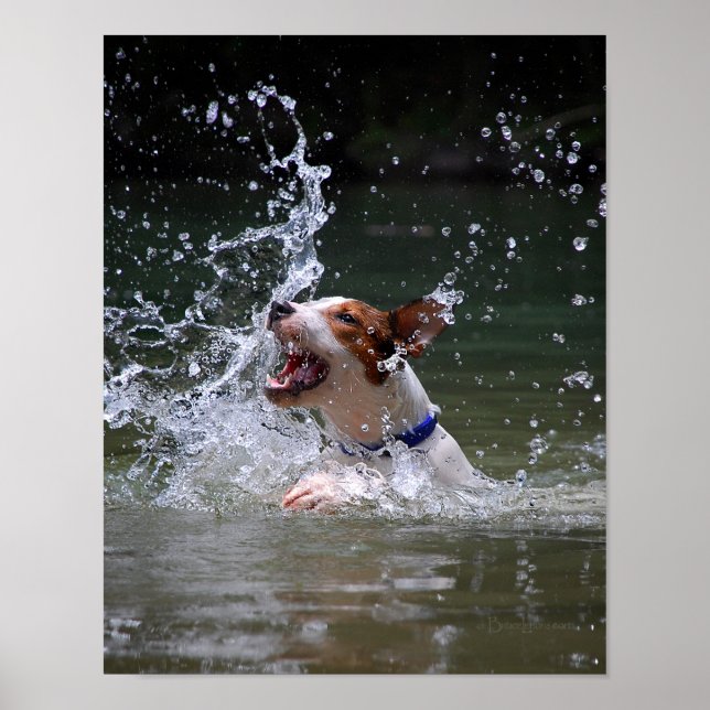 Schwimmen Poster (Vorne)
