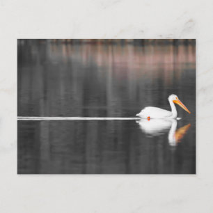 schwimmen postkarte