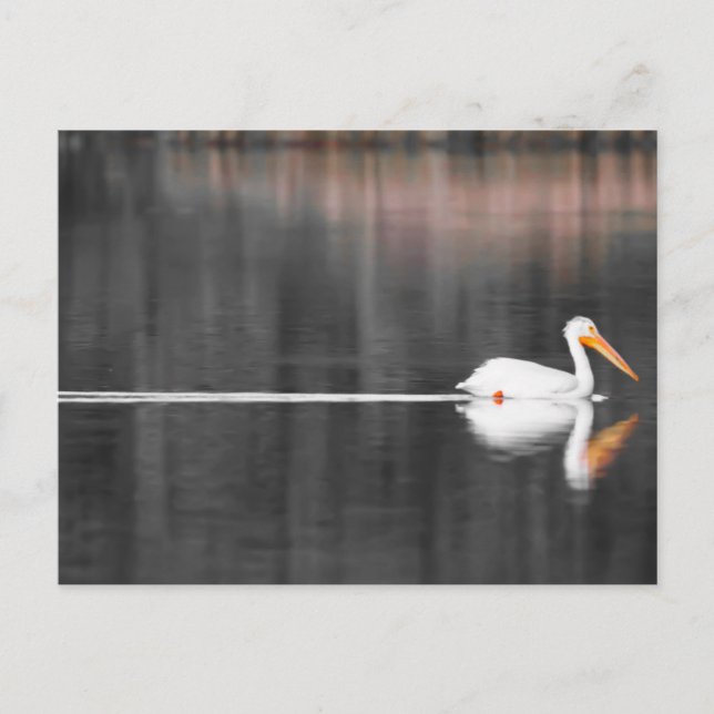 schwimmen postkarte (Vorderseite)