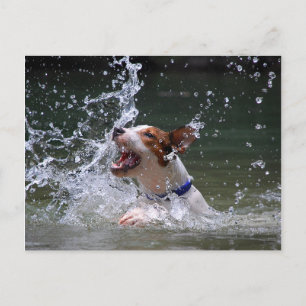 Schwimmen Postkarte
