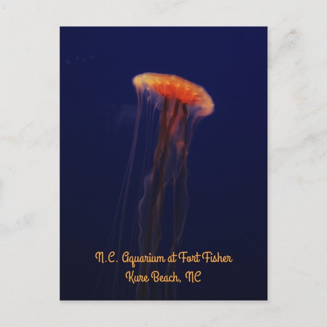 Schwimmen Schöne vertikale Postkarte (Vorderseite)