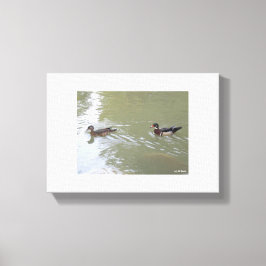 Schwimmende Enten Leinwanddruck