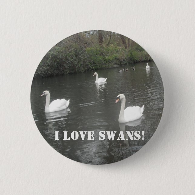 Schwimmende Knopf-Schwäne, i-Liebe-Schwäne Button (Vorderseite)