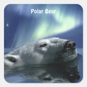 SCHWIMMENDE POLAR BEAR Wildlife Stickers
