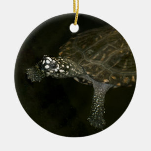 Schwimmende Schildkröte Keramikornament