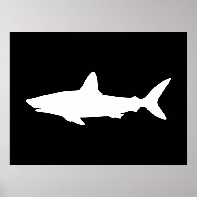 Schwimmender Hai Poster (Vorne)