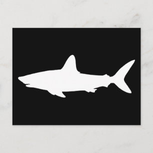Schwimmender Hai Postkarte