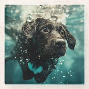 Schwimmender Labrador Welpe Unterwasser Design Glasuntersetzer