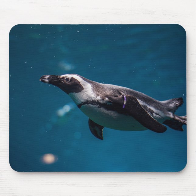 Schwimmender Pinguin im Meer. Mousepad (Vorne)