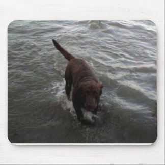Schwimmendes Labrador retriever Mousepad