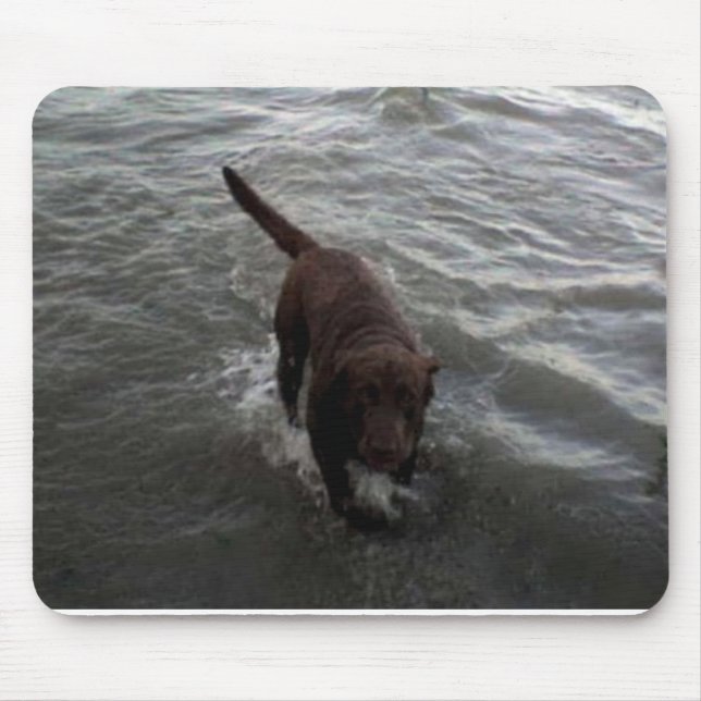 Schwimmendes Labrador retriever Mousepad (Vorne)