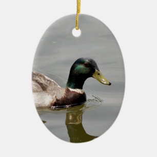 Schwimmente Keramikornament