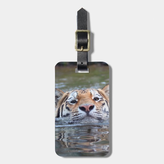 SchwimmenTiger20150901 Gepäckanhänger (Vorderseite vertikal)
