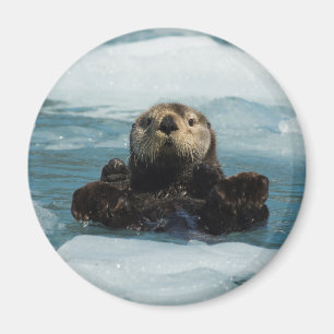 Schwimmer Magnet