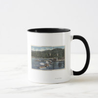 Schwimmer, Schwimmer in Cove