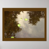 Schwimmer-Wasserlilien-Plakat
