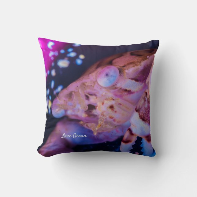 Schwimmerkrebs (Lissocarcinus laevis Miers, 1886) Kissen (Vorderseite)