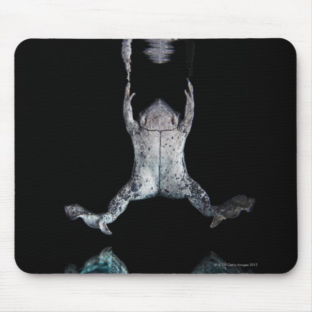 Schwimmfrosch Mousepad (Vorne)