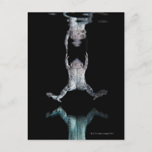 Schwimmfrosch Postkarte