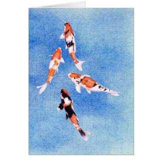 Schwimmkoi Blue Card