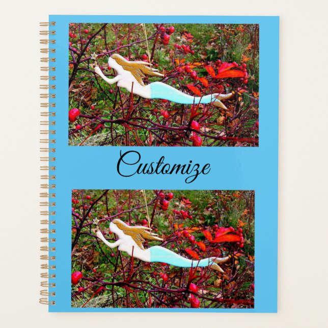 SchwimmMeerjungfrau Planer (Vorderseite)