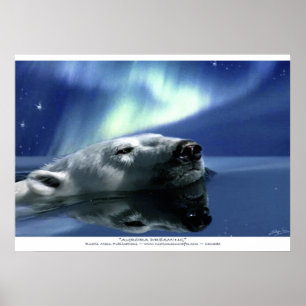 Schwimmpolar Bär & Aurora Poster Printwerbung