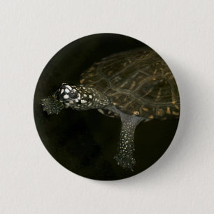 Schwimmschildkröte Button