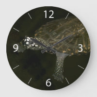 Schwimmschildkröte