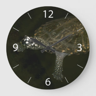 Schwimmschildkröte Große Wanduhr