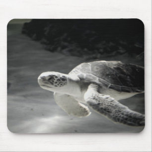 Schwimmschildkröte Mousepad