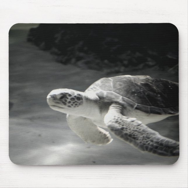 Schwimmschildkröte Mousepad (Vorne)