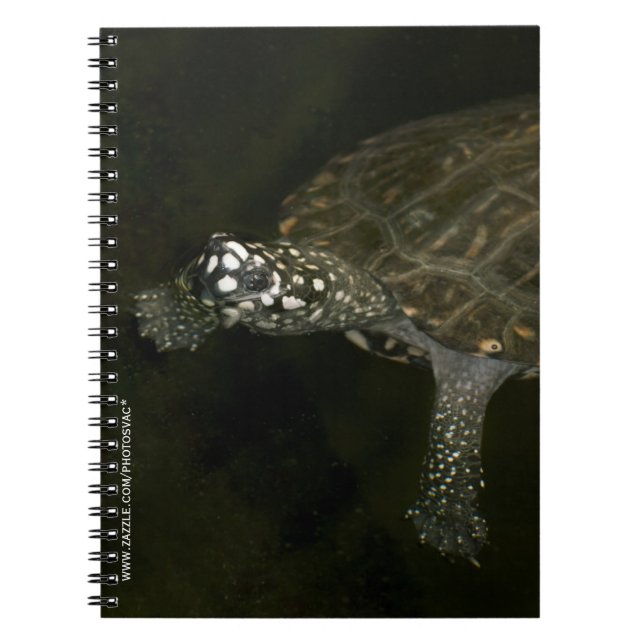 Schwimmschildkröte Notizblock (Vorderseite)