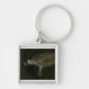 Schwimmschildkröte Schlüsselanhänger
