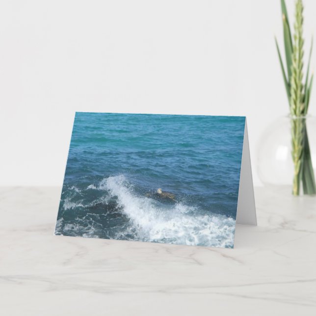 Schwimmschildkrötengrüßkarte (Ermutigung) Karte (Vorderseite)