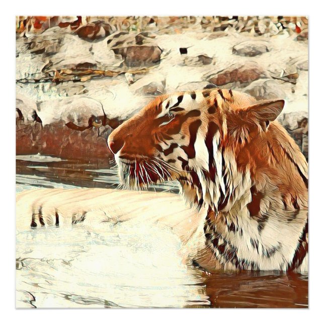 Schwimmtiger Fotodruck (Vorne)