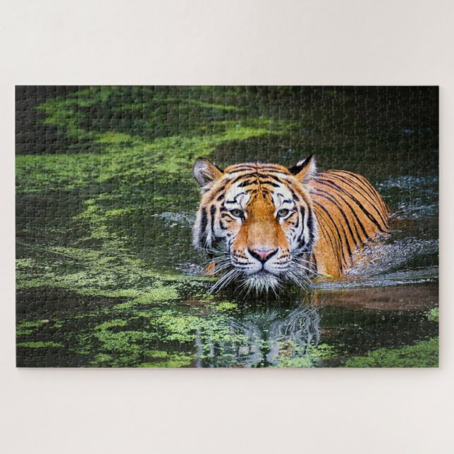 Schwimmtiger Puzzle (Horizontal)