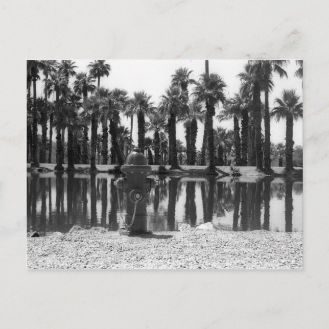 Schwimmunterricht Postkarte (Vorderseite)